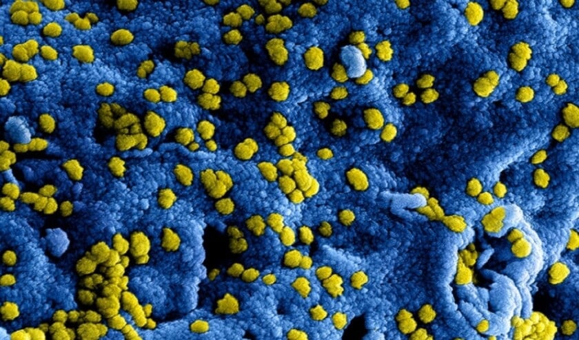 Coronavirus ook opgedoken in Cuijk.
