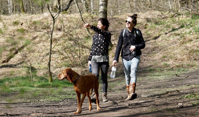 Zorg dat honden altijd aangelijnd blijven in het bos!