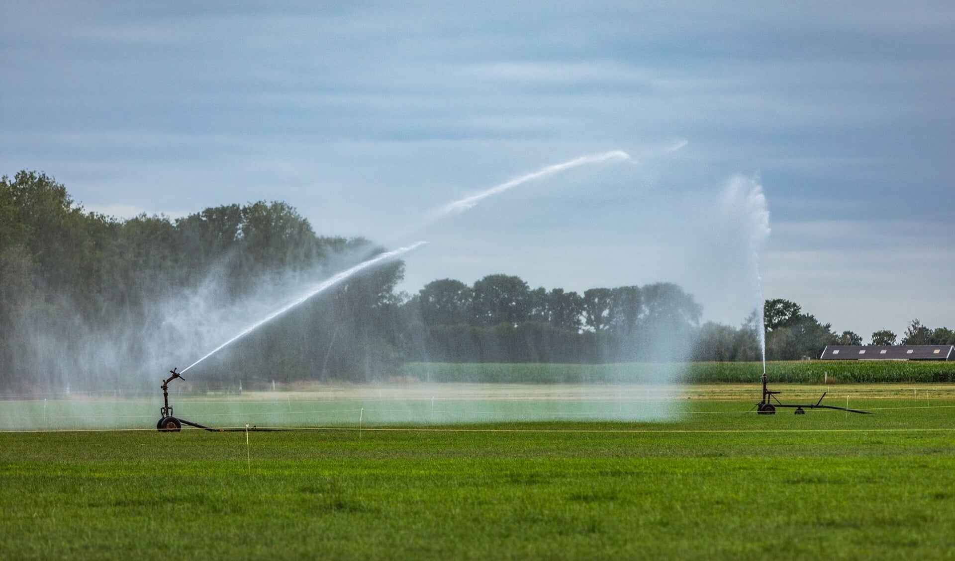 Vanaf 1 april mag het grondwater weer gebruikt worden voor het beregenen van graslanden.