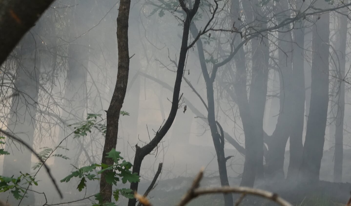Brandweer rukt uit voor brand in bosgebied Heesch