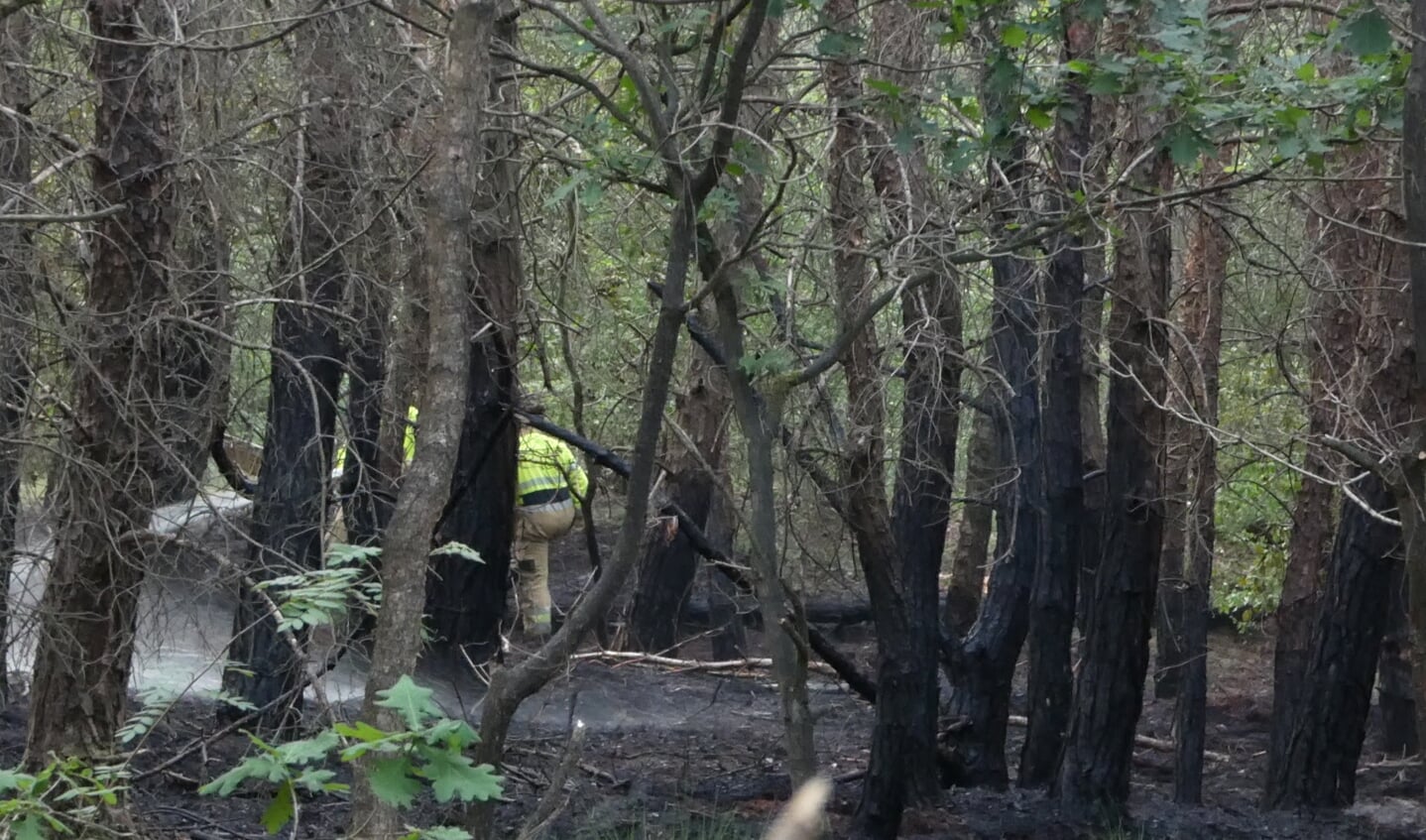 Brandweer rukt uit voor brand in bosgebied Heesch