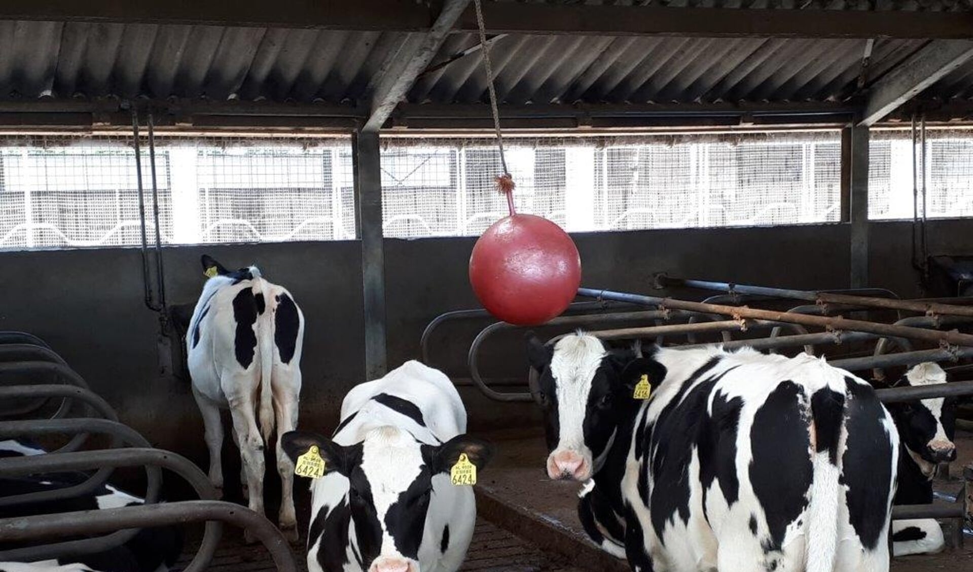 Wat gebeurt er allemaal op een boerderij? Hebben koeien namen? Hoe melkt een robot koeien?
