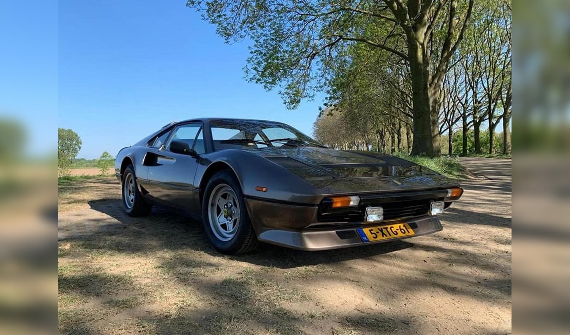 een Ferrari model 208 uit 1985 in originele bruine kleur. (Foto: Jack van Lieshout, Facebook. Via WOLF)