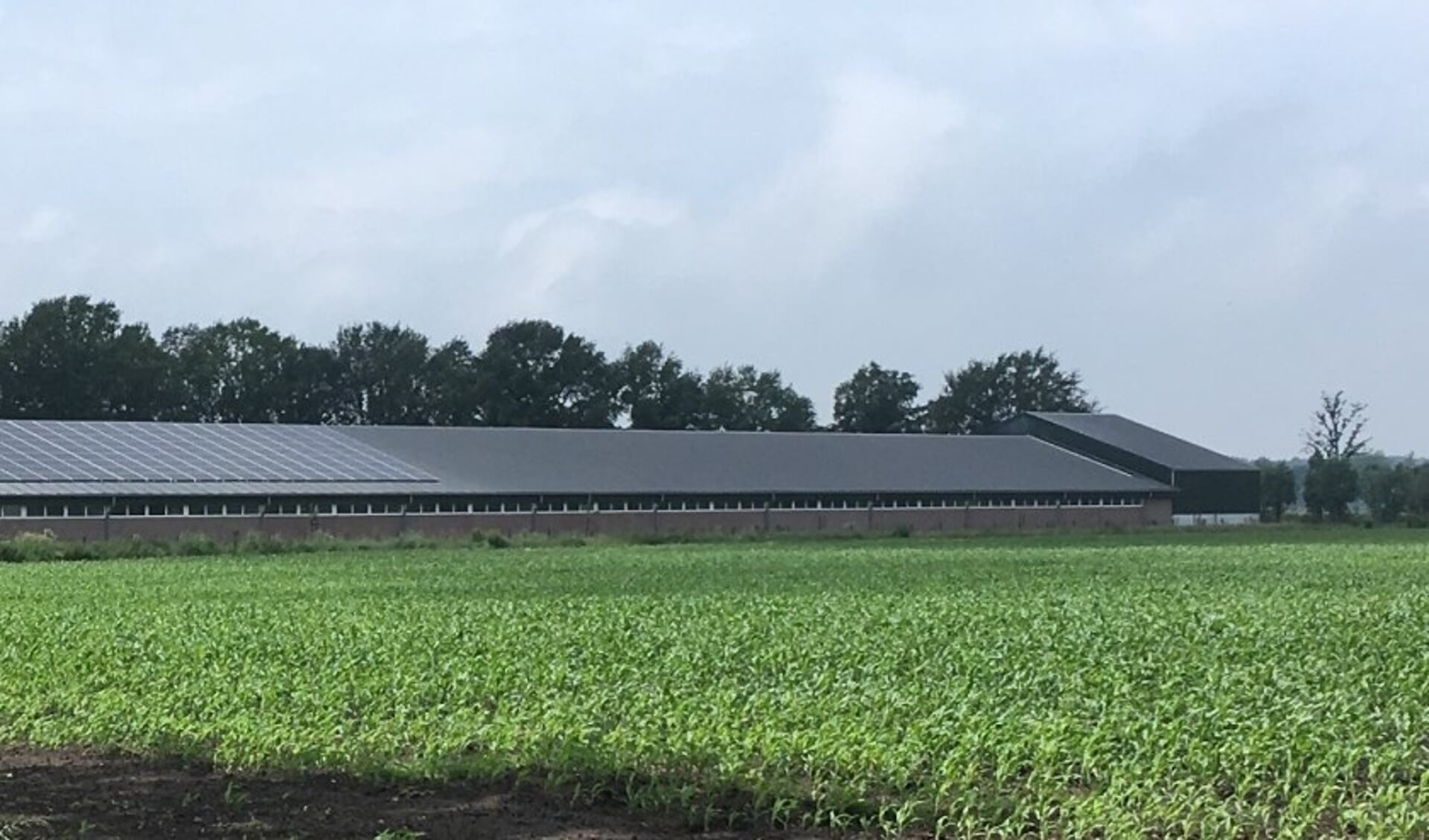 Op het dak van dit varkensbedrijf zouden vele honderden zonnepanelen komen te liggen.