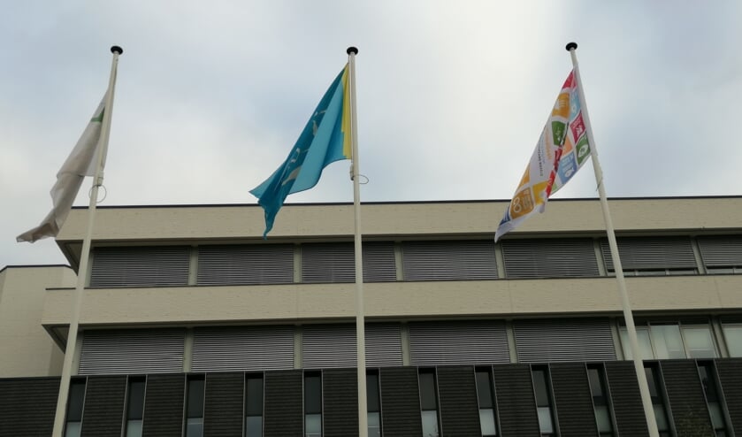<p>Het hijsen van de Global Goals vlag bij het Osse gemeentehuis.</p>
