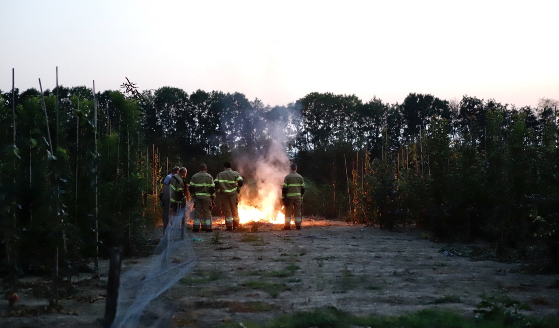 De brandweer laat de takjes gecontroleerd uitbranden.
