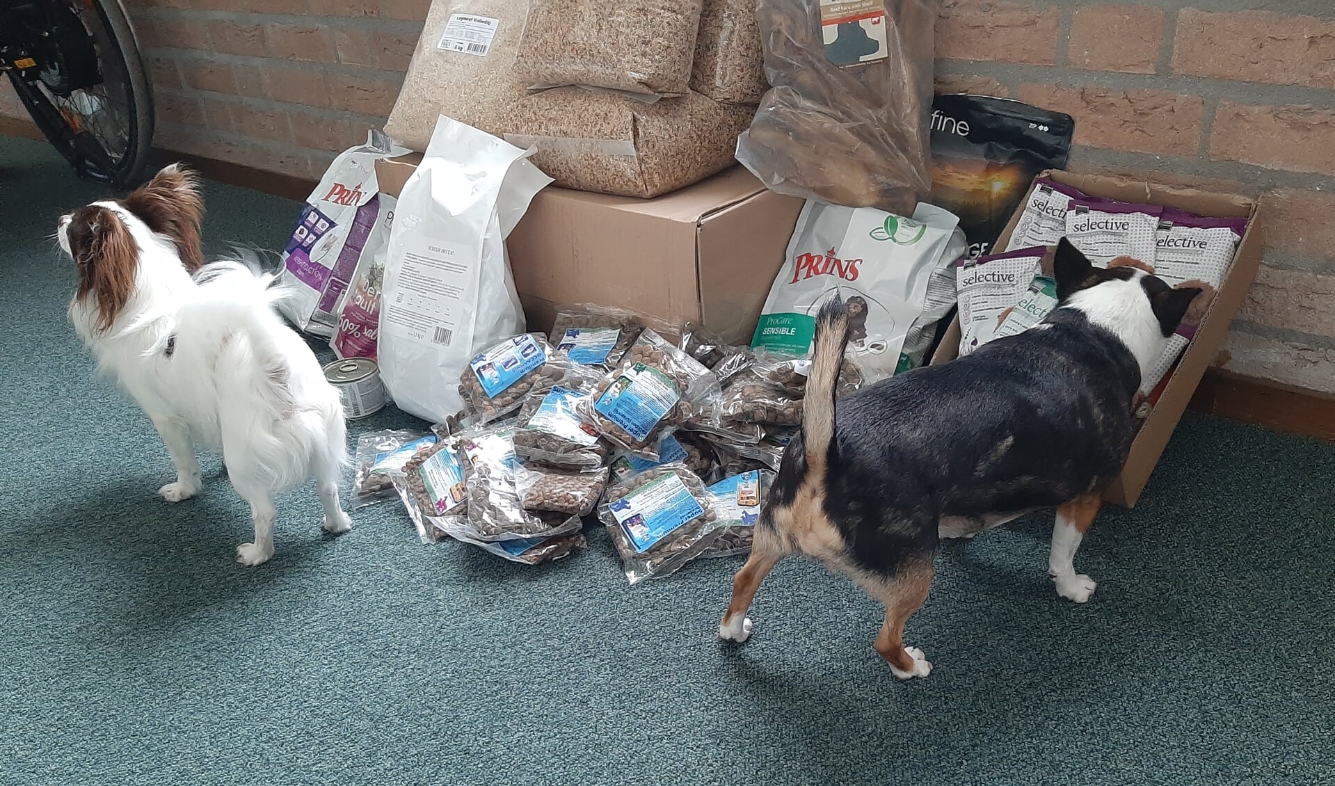 Honden snuffelen bij een deel van de voorraad van Dierenvoedselbank Oss.