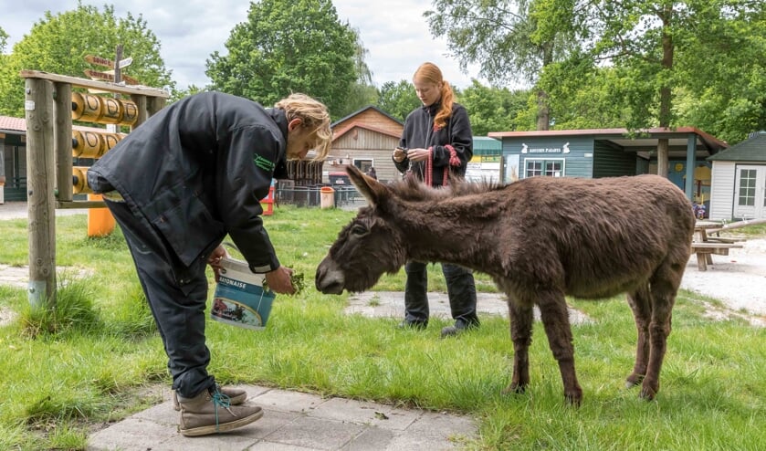 <p>Nieuwe penningmeester bekend met 'Ezeltje strek je'. (foto: Peter Noy)</p>