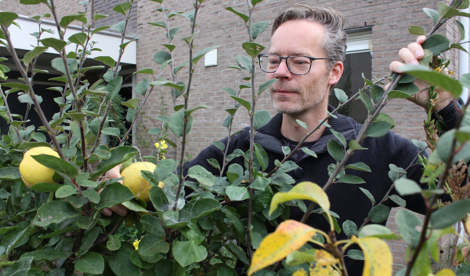 Martijn van Riet is als bestuurslid/vrijwilliger betrokken bij de aanleg van Voedselbos Woest in Rosmalen.