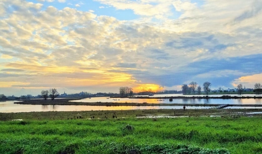 Hemelrijkse Waard. (Foto: Ineke Voskamp)