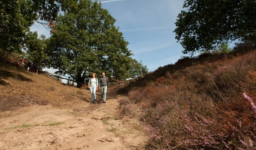 Onverharde paden zijn een lust voor de wandelaar; je stapt letterlijk in en door het landschap.