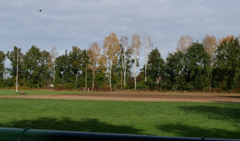 <p>Op dit terrein staan over een paar jaar misschien wel zestien woonwagens.</p>