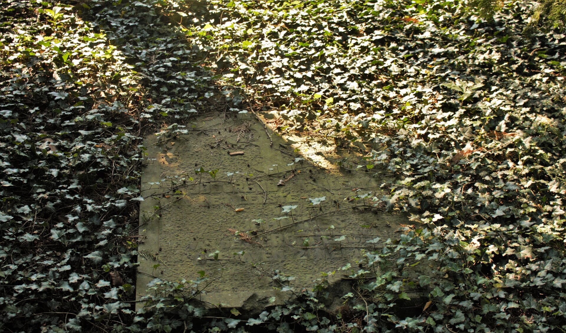 Het oudste graf dat nu nog te vinden is op begraafplaats Orthen, is dat van Johannes Groenendaal, de eerste katholiek die hier begraven is.