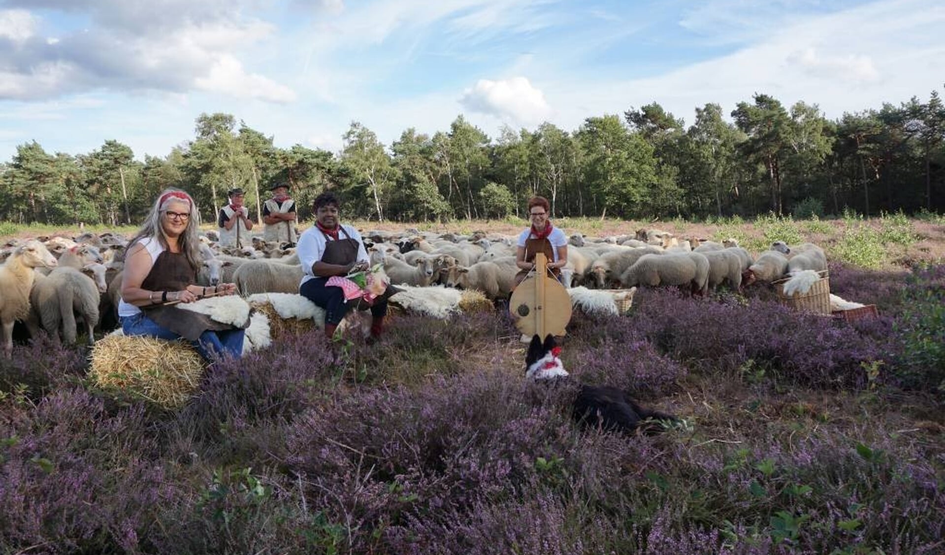 Naast het schapen drijven zijn er ook demonstraties en workshops.