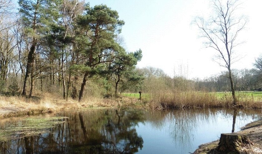 Doe mee aan de excursie naar de Genneper- en Looierheide op 24 november.