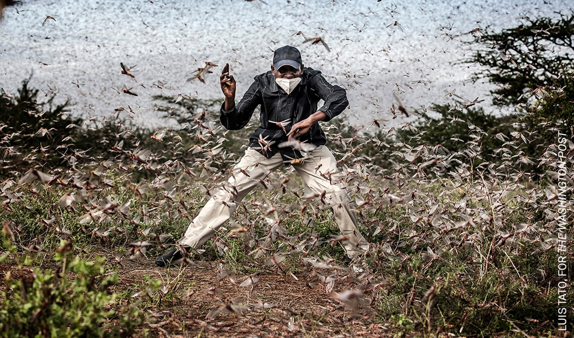 Bekijk de mooiste persfoto's van het jaar tijdens World Press Photo 2021 Den Bosch in Willem Twee Kunstruimte.