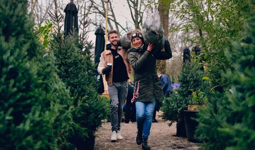 Het BeterBoompje Kerstbomenbos moet wegwerpkerstbomen voorgoed verbannen.