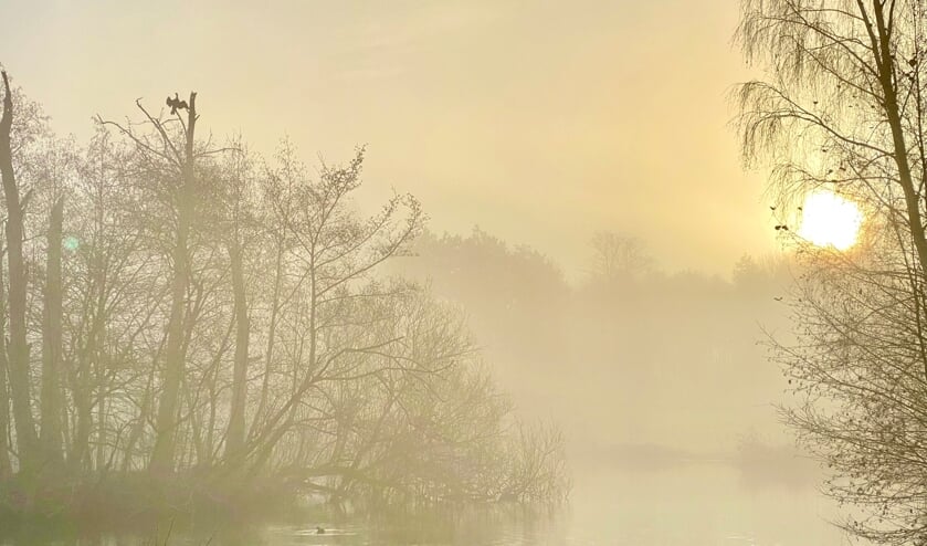 De Hazenakkervijver. (Foto: Manjusha Teubel Bastiaans)