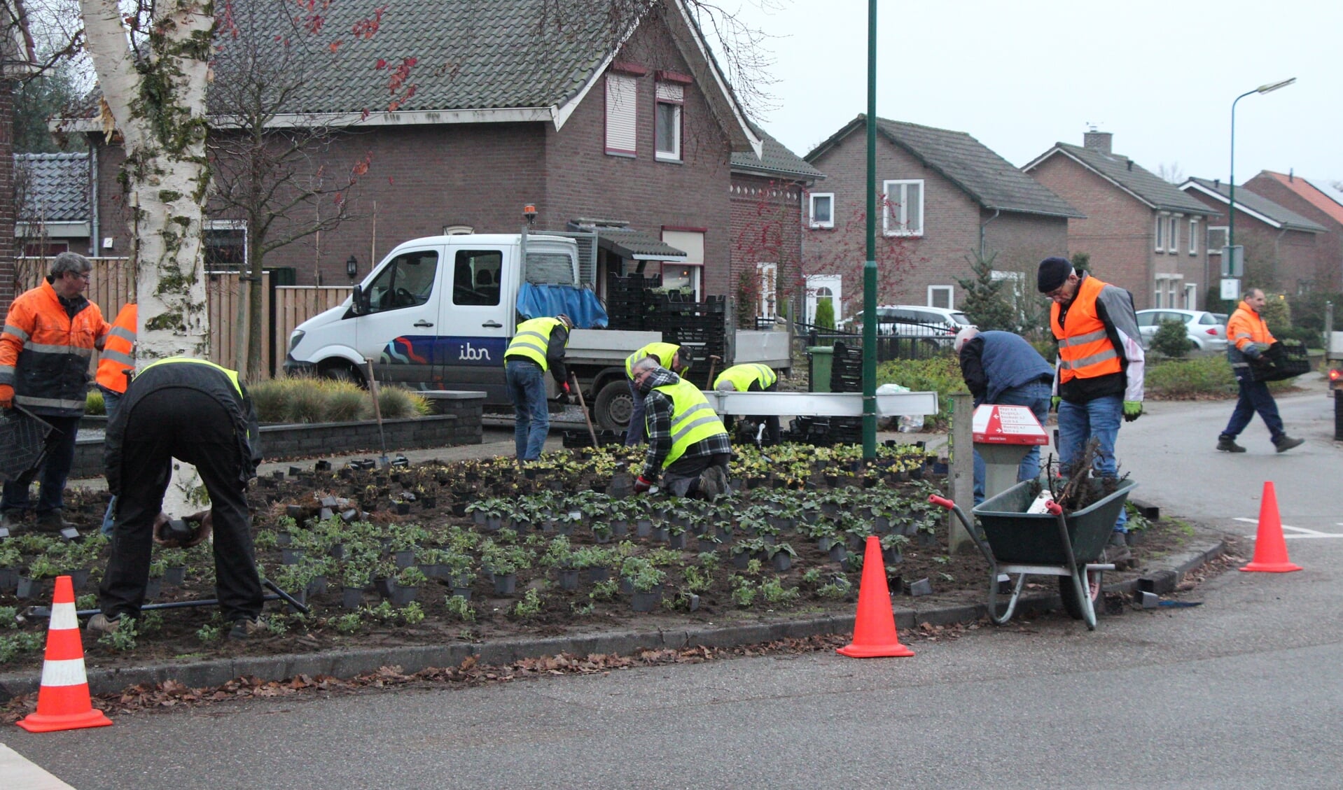 Het planten van nieuw groen in de Rijkevoort door vrijwilligers van het groenteam van de KBO en IBN.