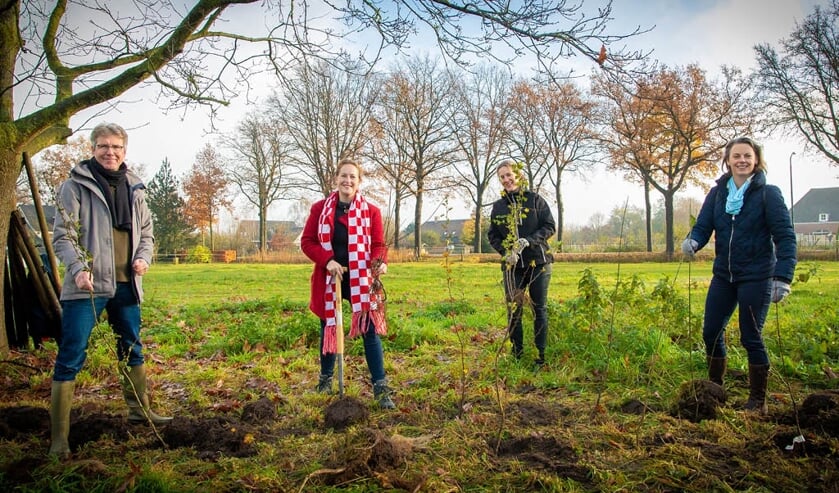 Maar liefst 40 duizend jonge boompjes worden deze maand uitgedeeld en aangeplant in heel Brabant. Op de foto van links naar rechts Joris Hogenboom (Brabants Landschap), Hagar Roijackers (Provincie Noord-Brabant), Renske Visscher (IVN Brabant) en Femke Dingemans (Brabantse Milieufederatie).  