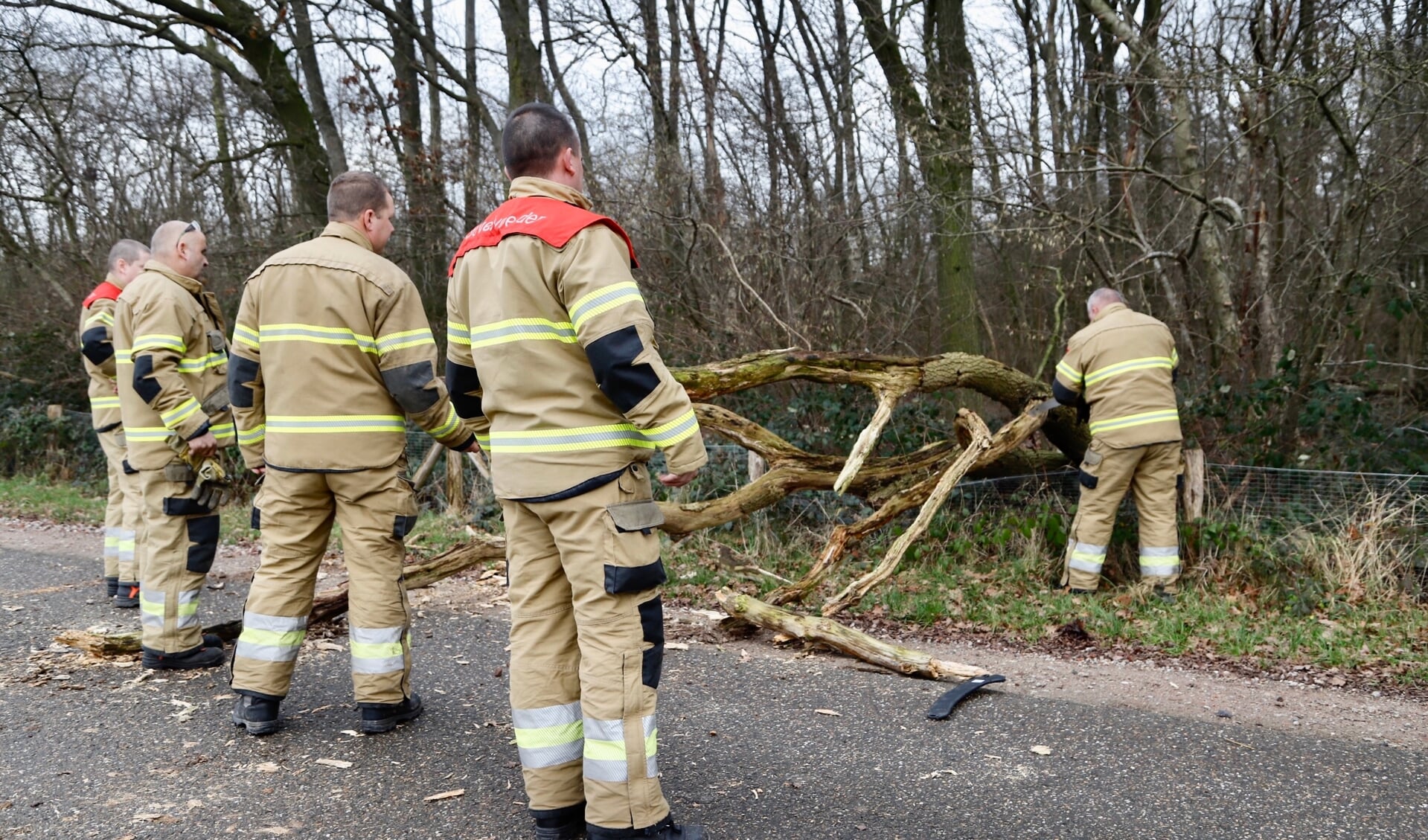 De brandweer heeft in Beugen een omgevallen boom van de weg gehaald.
