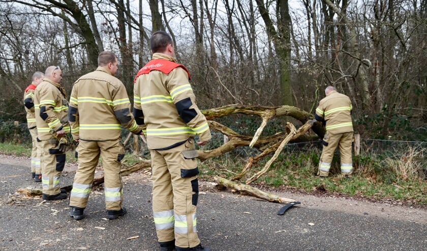<p>De brandweer heeft in Beugen een omgevallen boom van de weg gehaald.</p>  