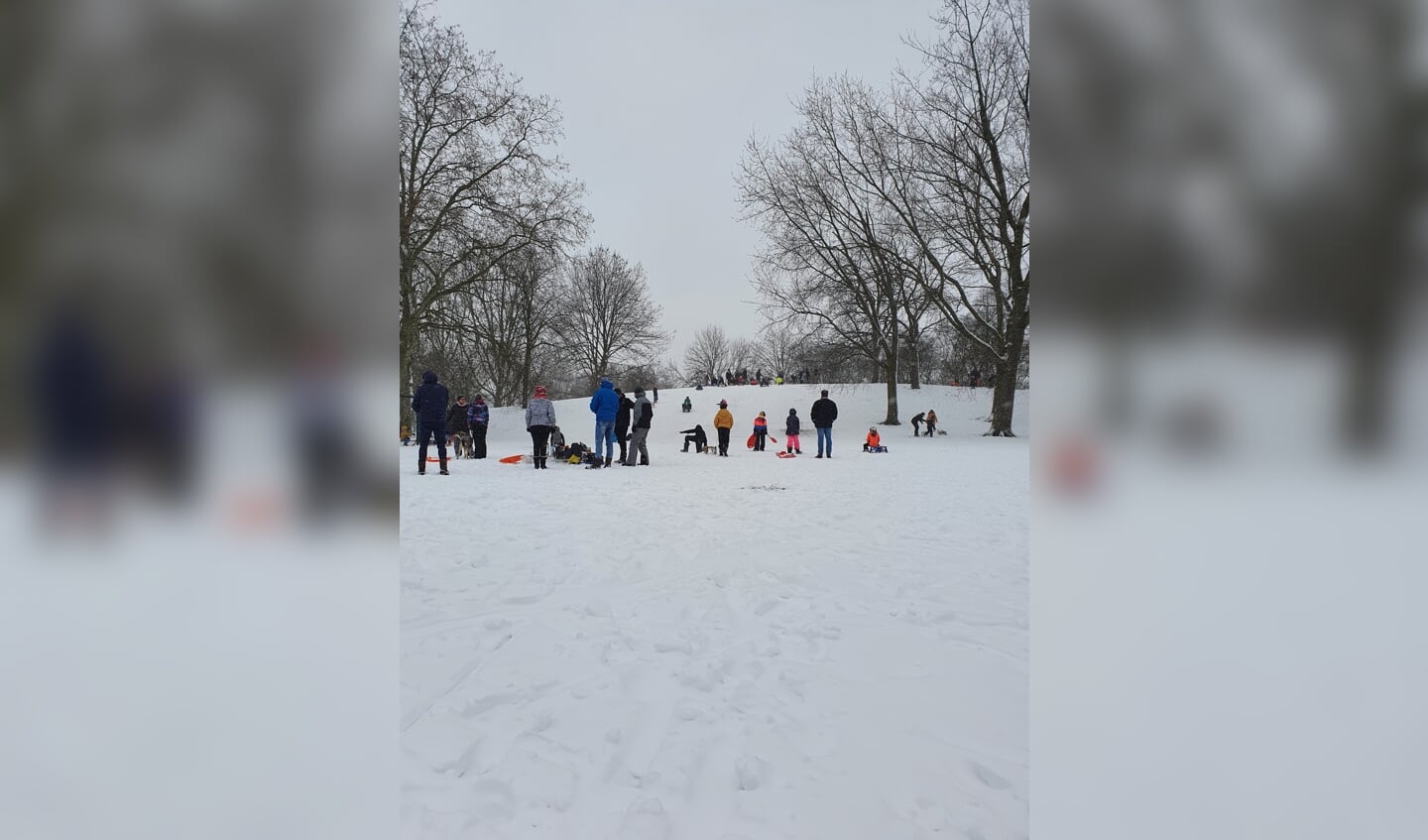 Sneeuwpret voor het hele gezin in het Mellepark.