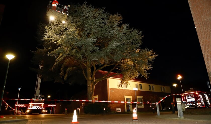 Stormschade aan de Aleidestraat in Cuijk.