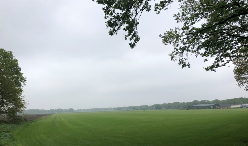 <p>Op dit gigantische grasveld aan de rand van Stevensbeek komt mogelijk een enorm park vol zonnepanelen.</p>
