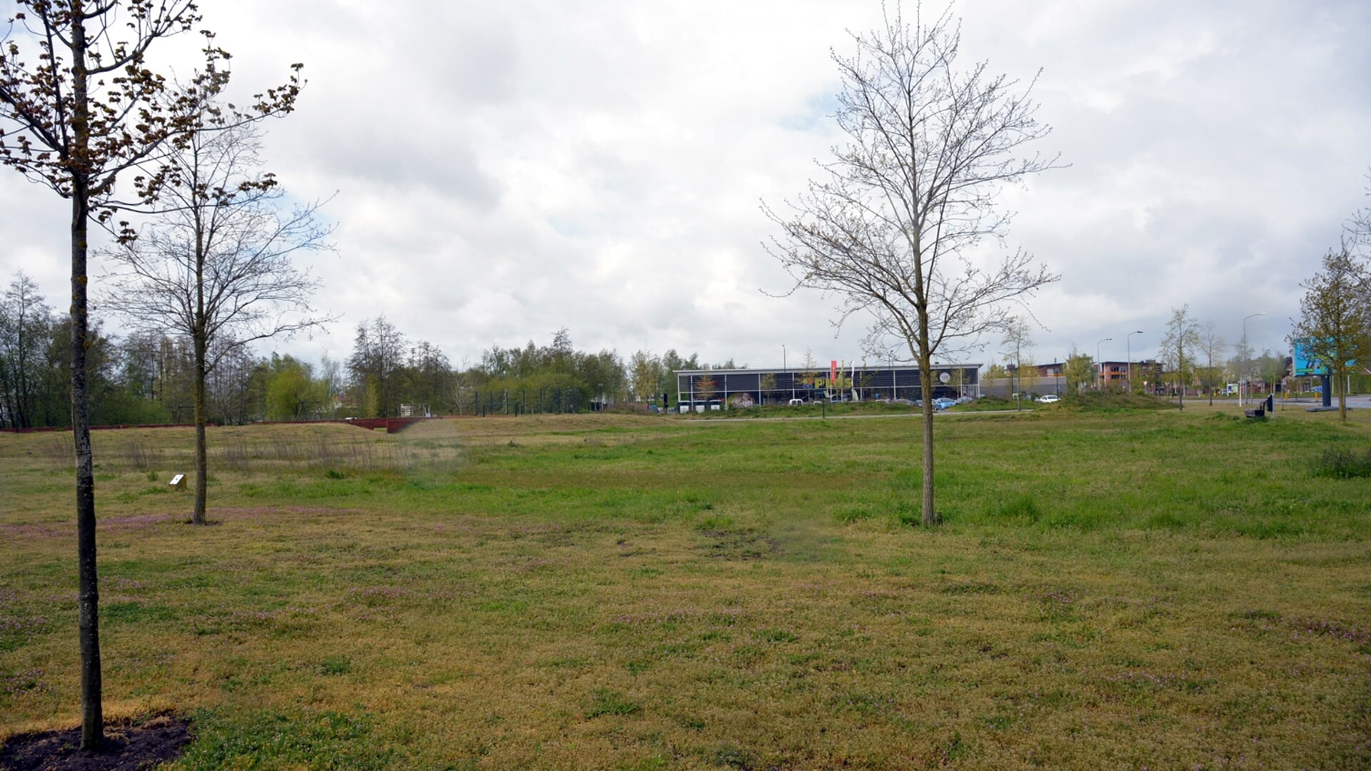Het Sesterpark kent nu nog veel groen. (foto: Henk Lunenburg)