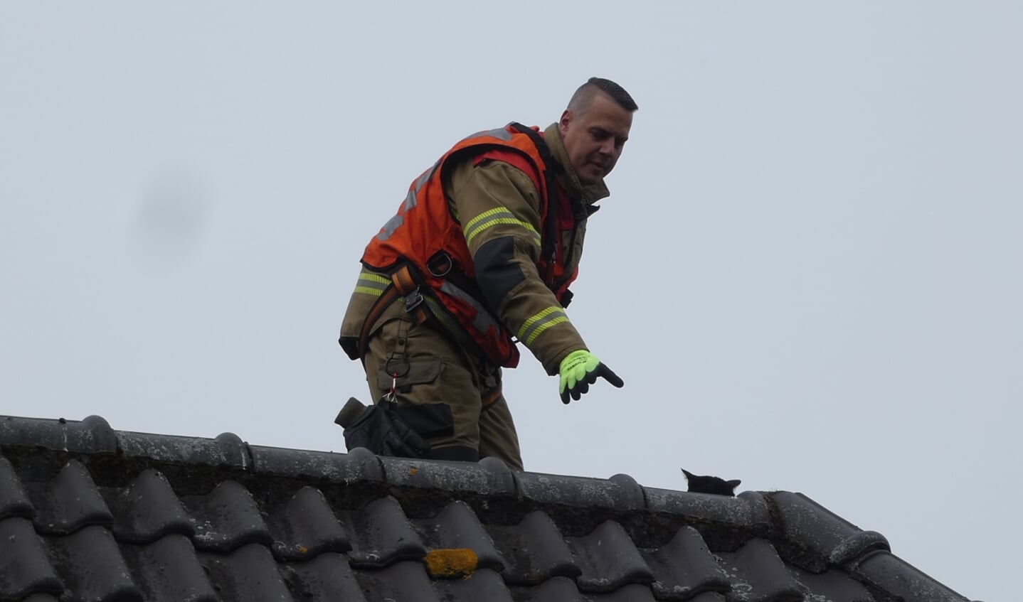 Brandweer haalt poes van het dak van woning aan Woldreef. (Foto: Thomas)