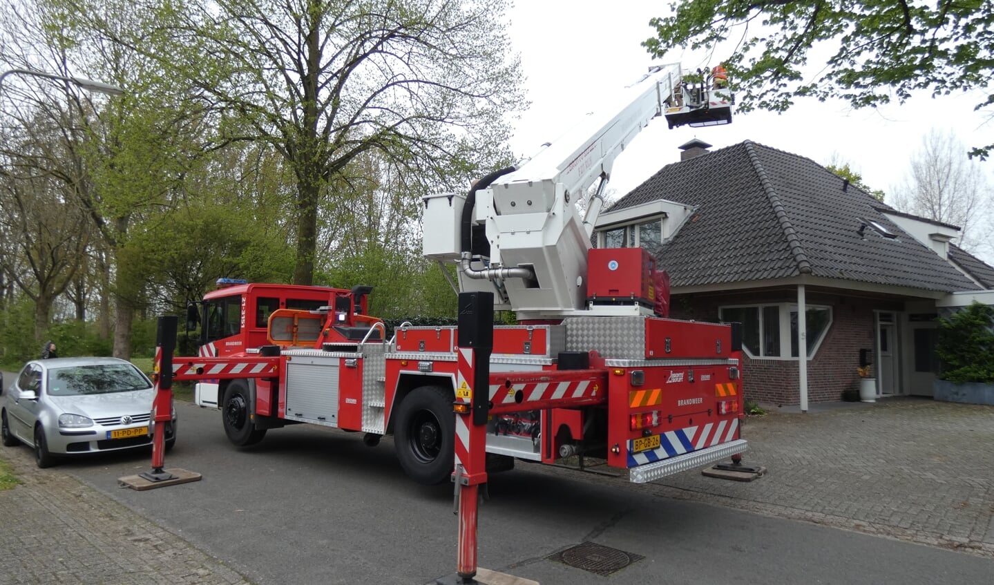 Brandweer haalt poes van het dak van woning aan Woldreef. (Foto: Thomas)