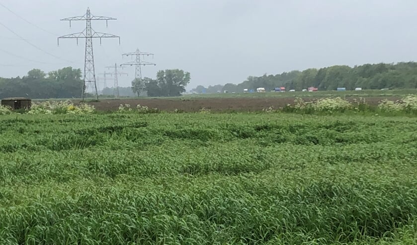 <p>De gemeenteraad van Boxmeer blijft verdeeld over de aanleg van windmolens, bijvoorbeeld in het Boxmeers Broek nabij de A73.</p>