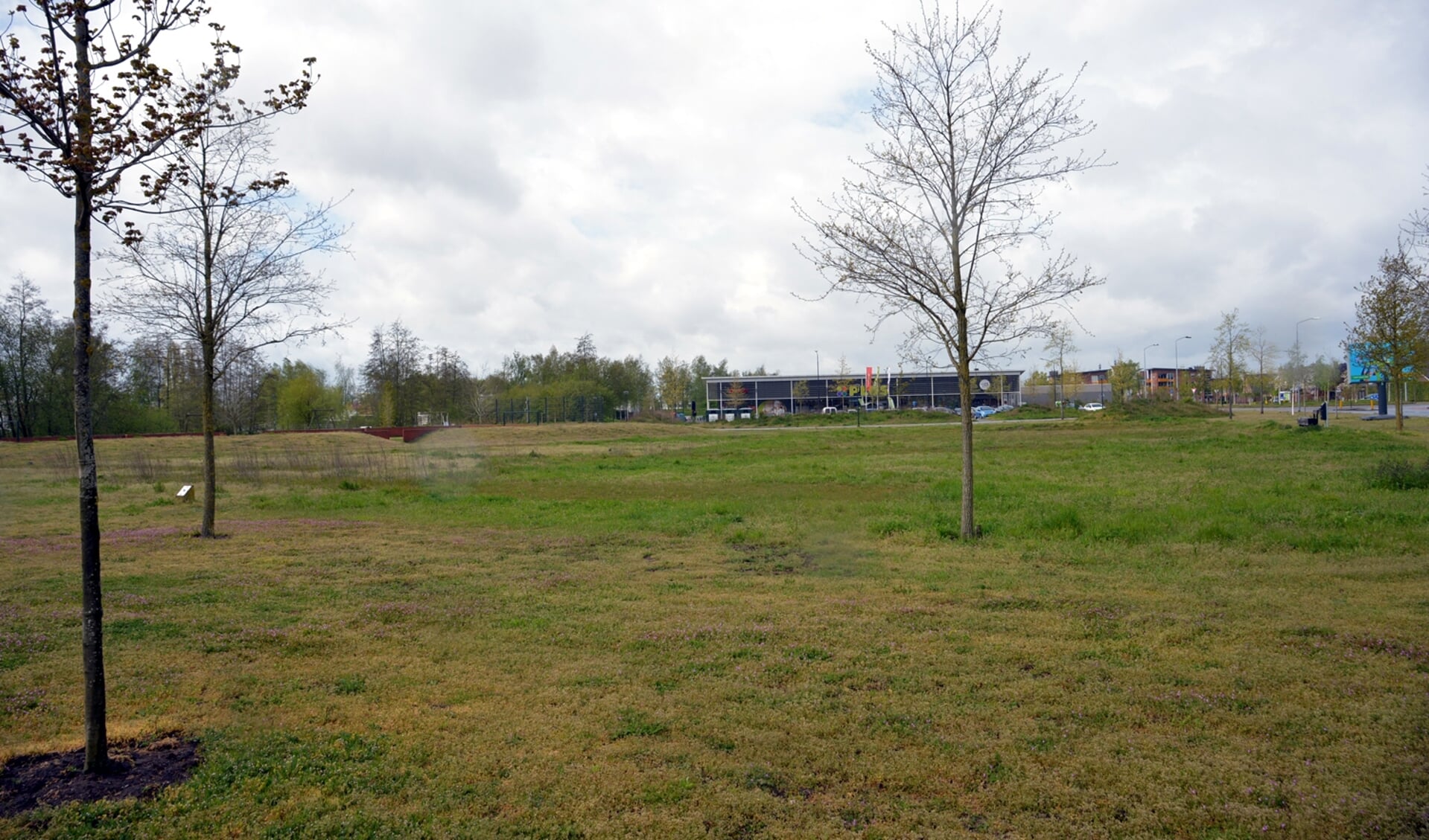 Het Sesterpark, waar de huizen komen te staan. (foto: Henk Lunenburg)