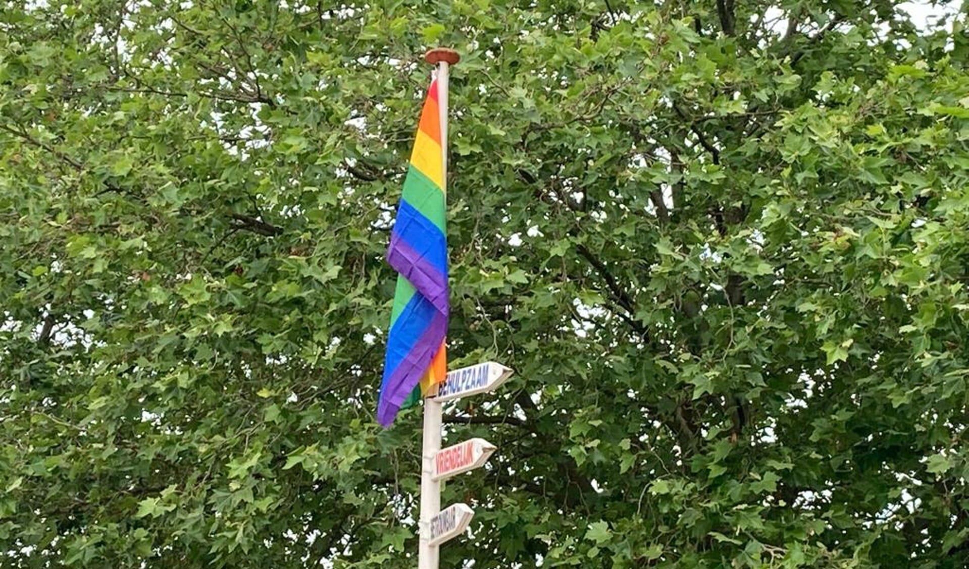 Maandagmiddag werd de gevraagde regenboogvlag gehesen op Basisschool De Brink. 