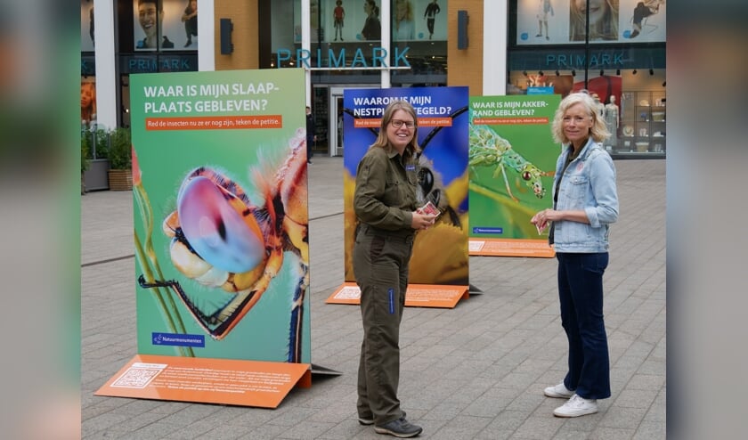 Boswachter Ellen Luijks op Plein 44 in Nijmegen waar Natuurmonumenten aandacht vraagt voor insecten.