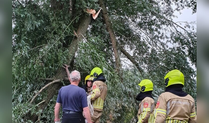 <p>De brandweer uit Mook en Middelaar ruimde de takken op.</p>