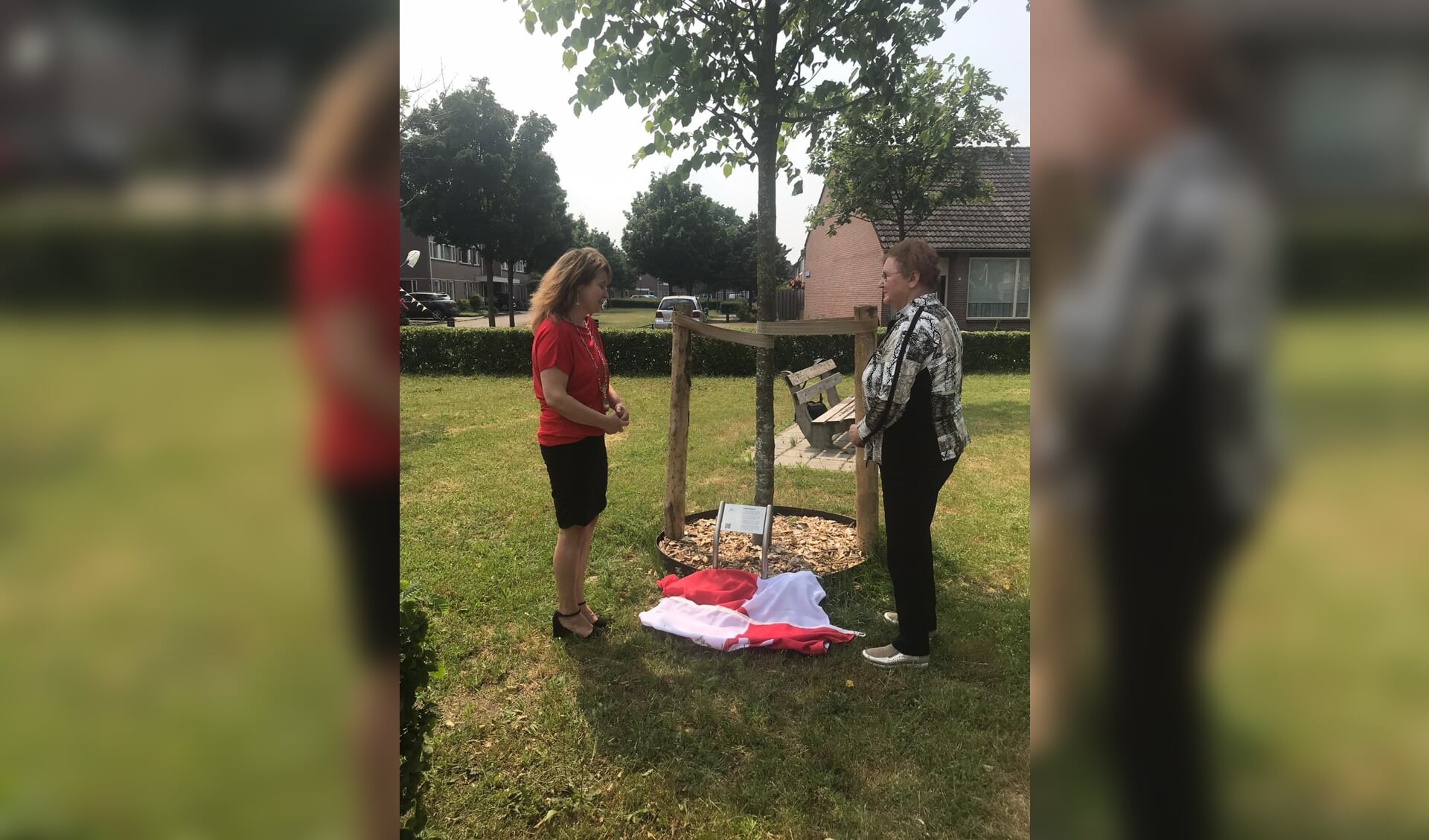 Burgemeester plant herdenkingsboom in Heesch. (Foto: Marieke Moorman, Twitter)