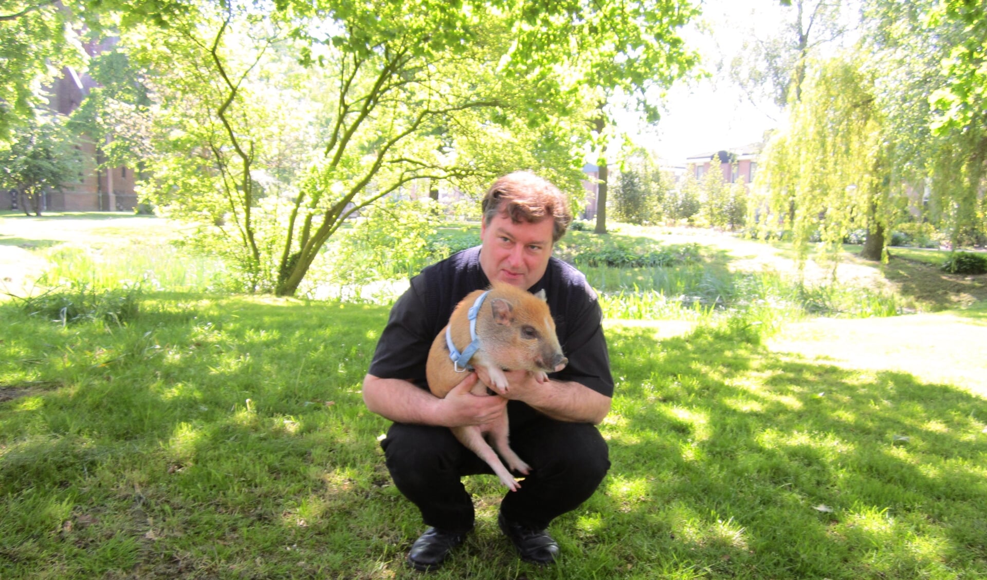 Kapelaan Willem Renders in de pastorietuin met één van zijn huisdieren: een varkentje. 