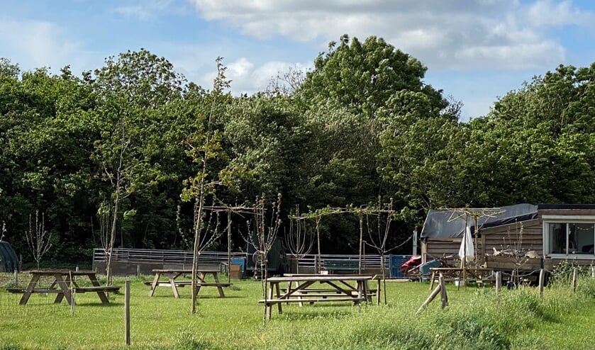 <p>Bouwwerken bij de biologische stadstuin zijn onder andere inzet van de discussie. </p>