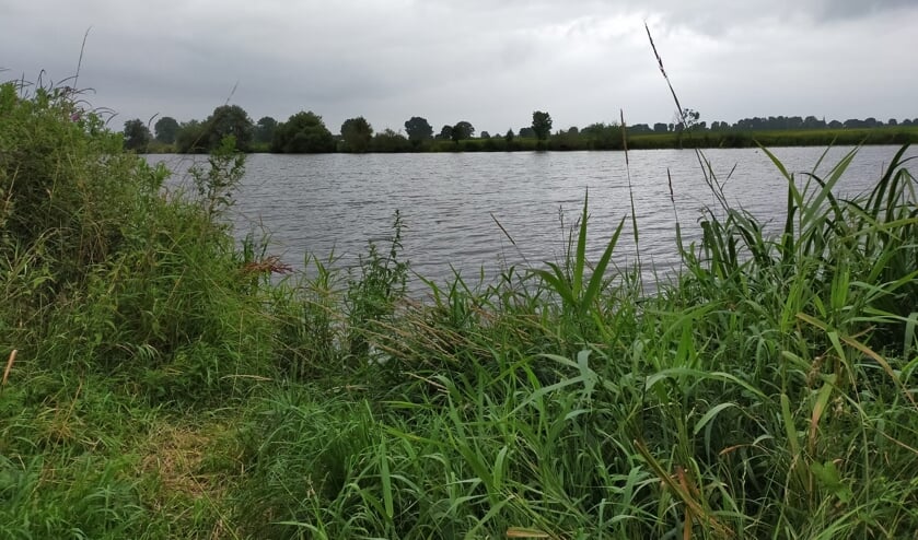 <p>De Maas bij Macharen vanmiddag.</p>