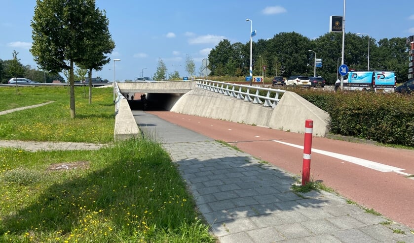<p>De tunnel aan de Bitswijk zou er over een tijdje zomaar heel wat kleurrijker uit kunnen zien.</p>