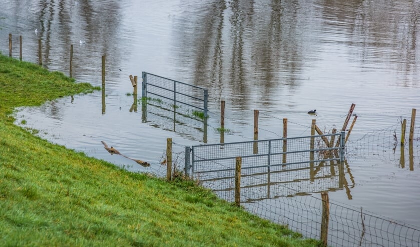 Tot nu toe heeft de regen van de afgelopen dagen niet tot grote problemen geleid. De verwachting is dat dat ook de komende dagen niet gebeurt.