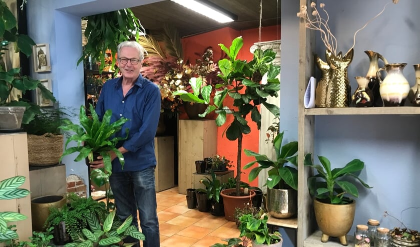 <p>Giel Tuns stelt ook speciale plantenpakketten samen die de lucht zuiveren en voor een betere atmosfeer op de thuiswerkplek zorgen.</p>