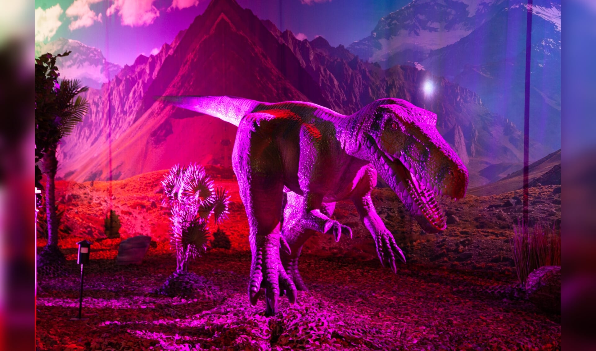 'World of Dinos' is de grootste reizende Dino Expo van Europa.