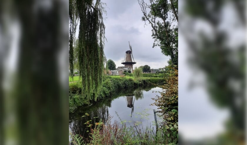 De vestingstadjes Megen en Ravenstein trokken veel belangstellenden. In Molen de Nijverheid kwamen per dag meer dan 100 mensen. Foto M. Eerelman