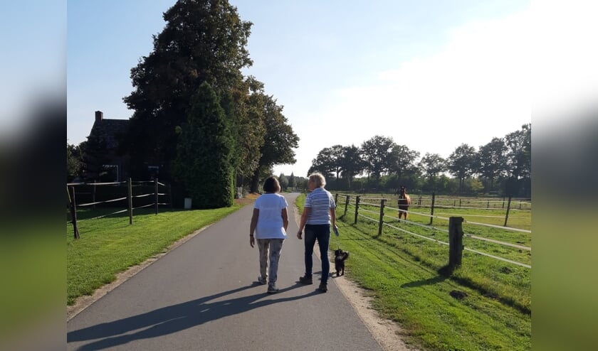 Samen taarten bakken, een boodschap doen of gewoon lekker een stukje lopen met of zonder rollator en/of hond.