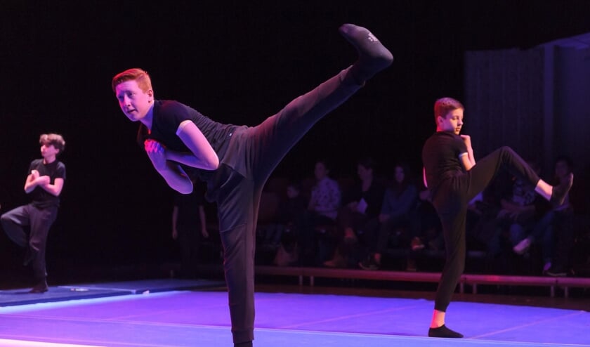 <p>Dansen verbindt, is fijn en vooral ook heel leuk om te doen. Voor jongens biedt Dans & Balletstudio Geraldine een speciale dansmethode.</p>