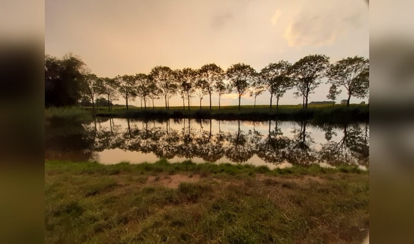 Foto van de week Lenie van den Hurk