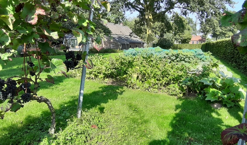 <p>Kom jij ook proeven?</p>